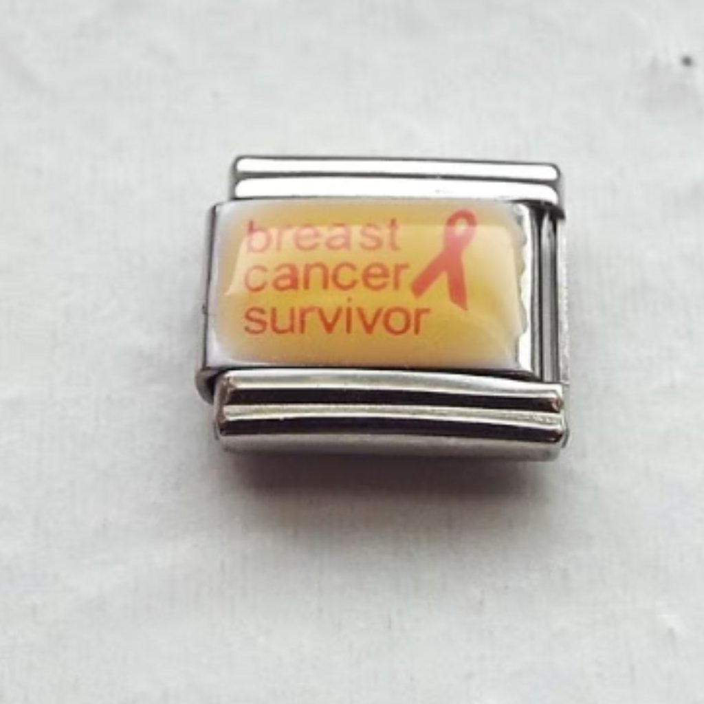 Breast Cancer Survivor Photo 9mm Stainless Steel Italian Charm Bracelet Link New